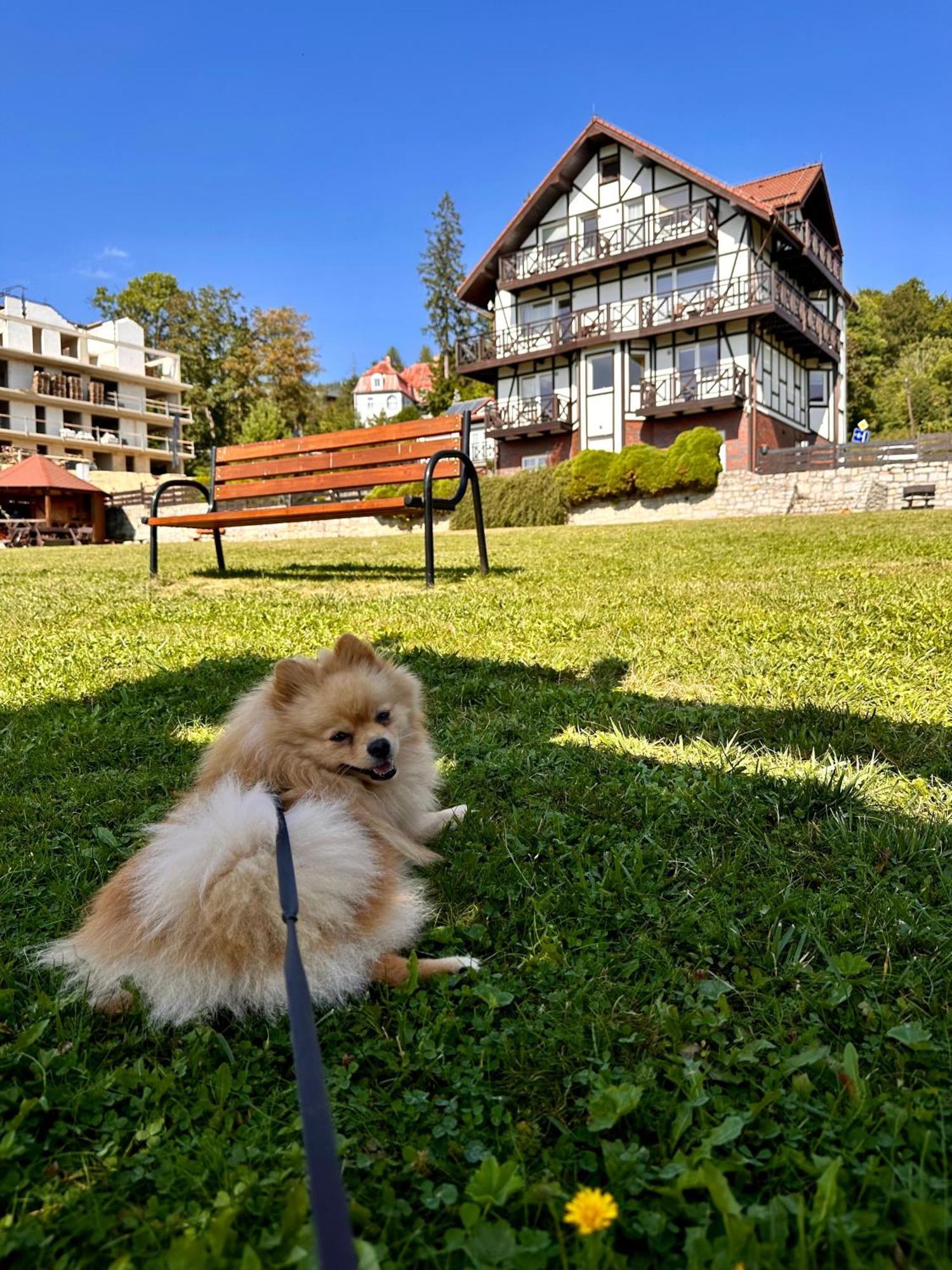 U Jozka Apartment Szklarska Poreba Luaran gambar
